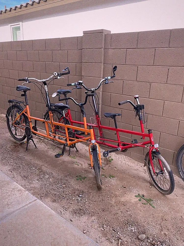 Toddler Tandem